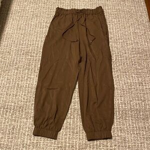 Brown Lyocell Banana Republic Factory Joggers